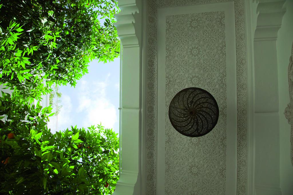 Riad Ifoulki