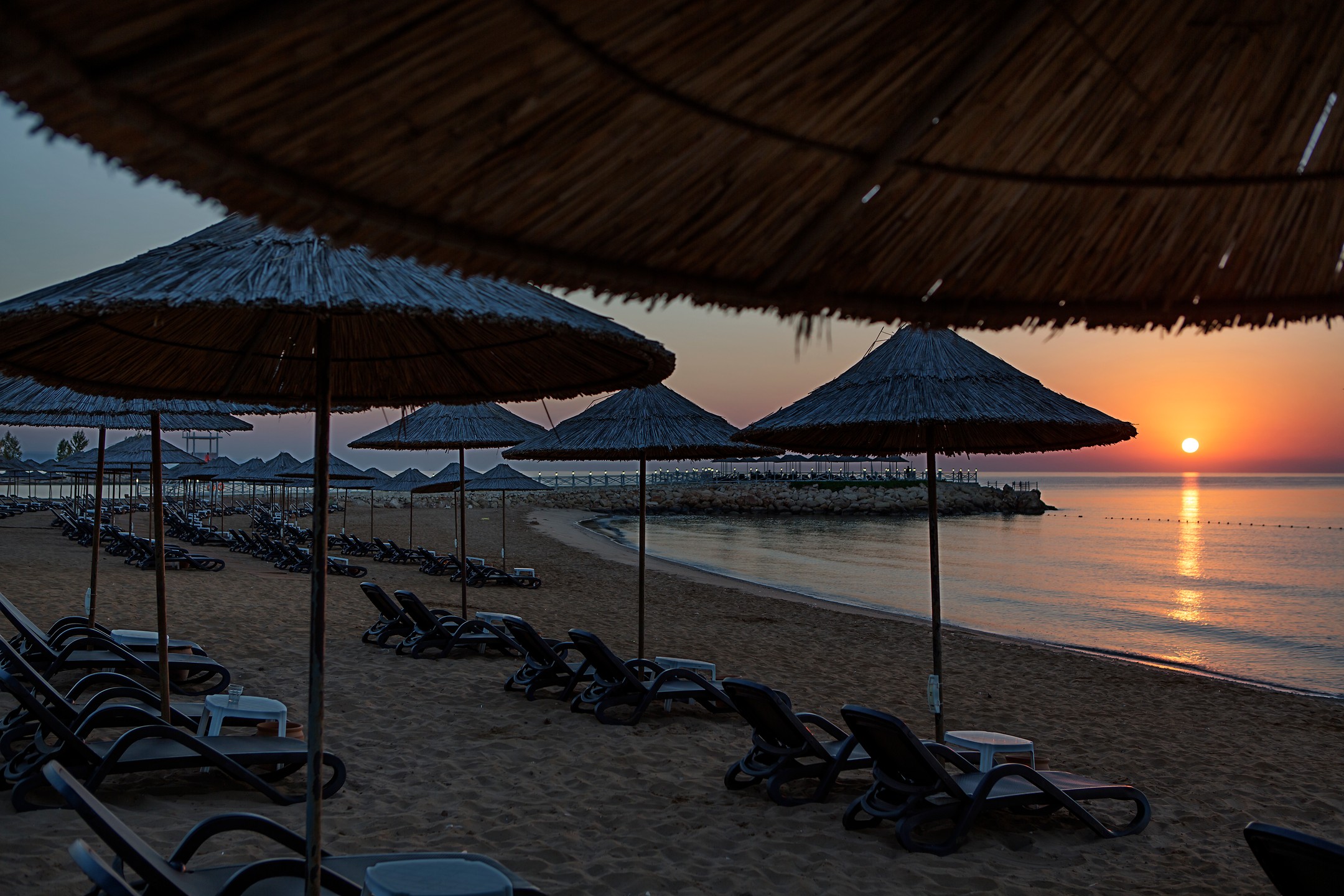 Noahs Ark Hotel Casino