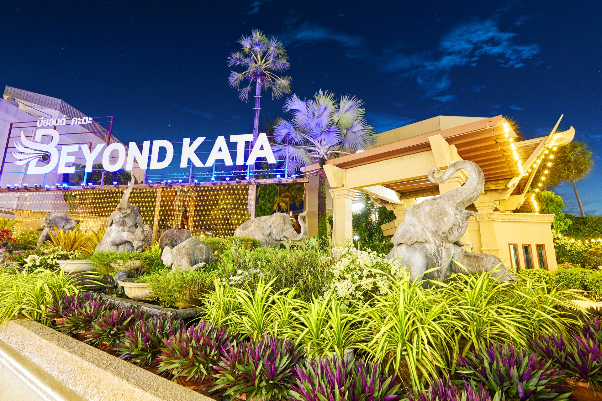 Beyond Kata imagine 6