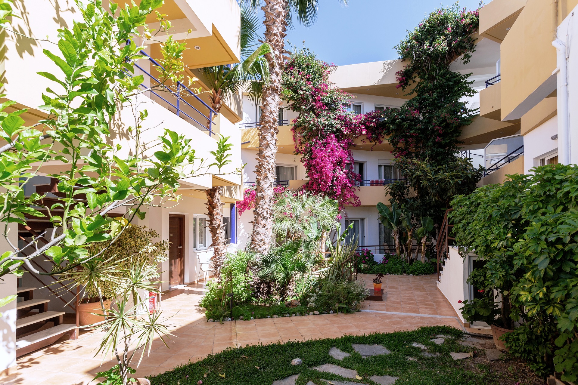 Faedra Beach Hotel imagine 14