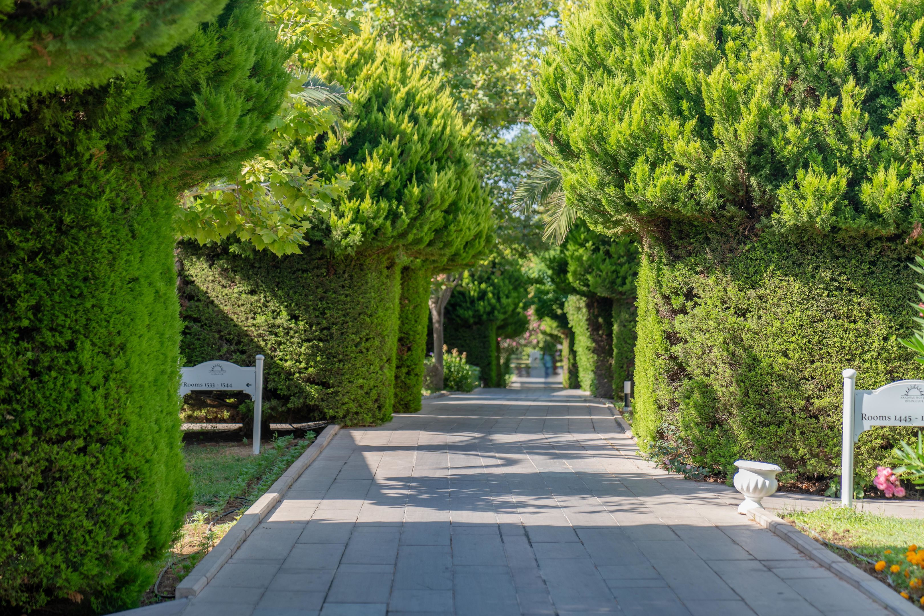 Palm Wings Beach Resort Didim