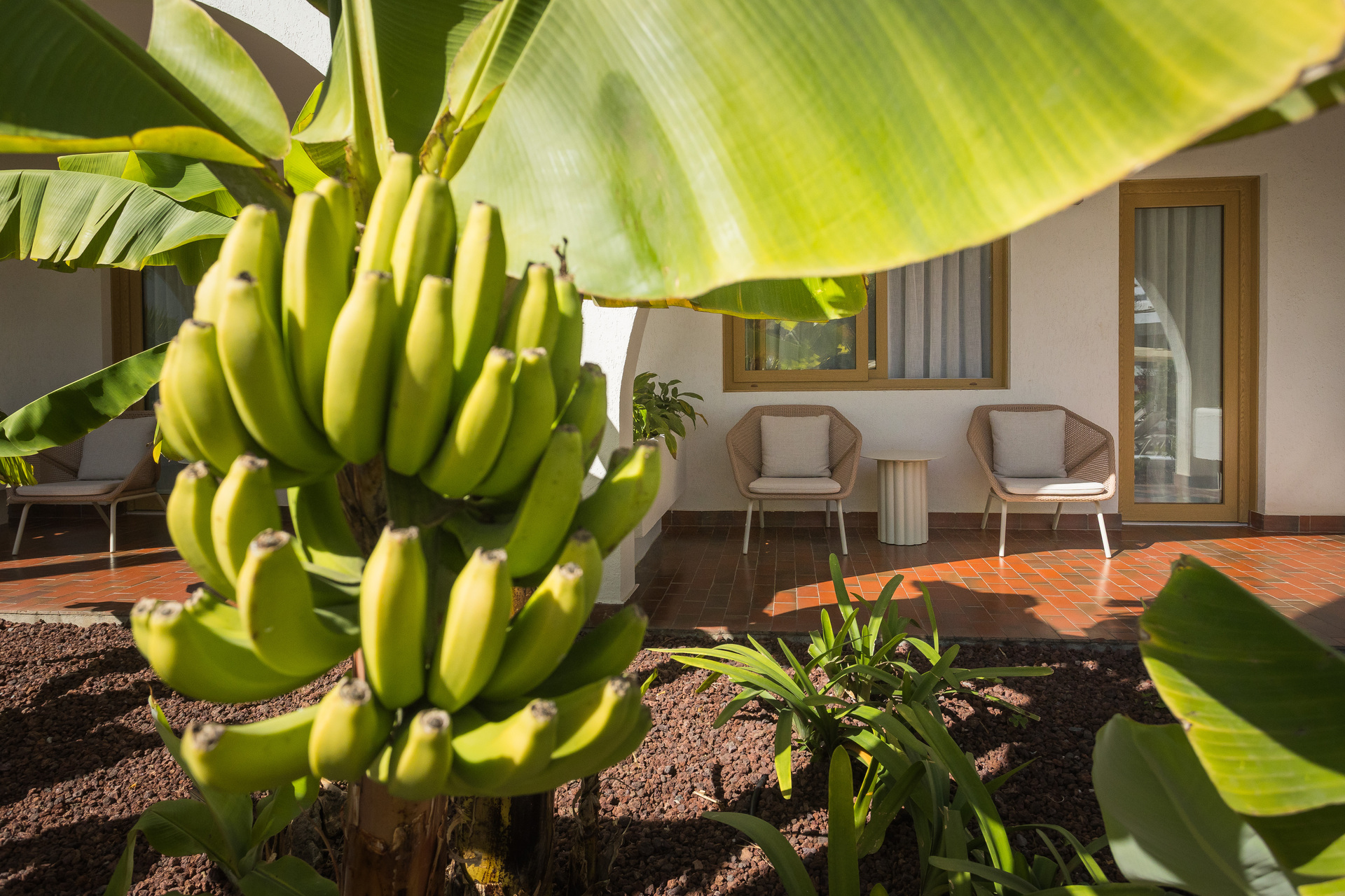 Radisson Resort  Residences Tenerife imagine 7