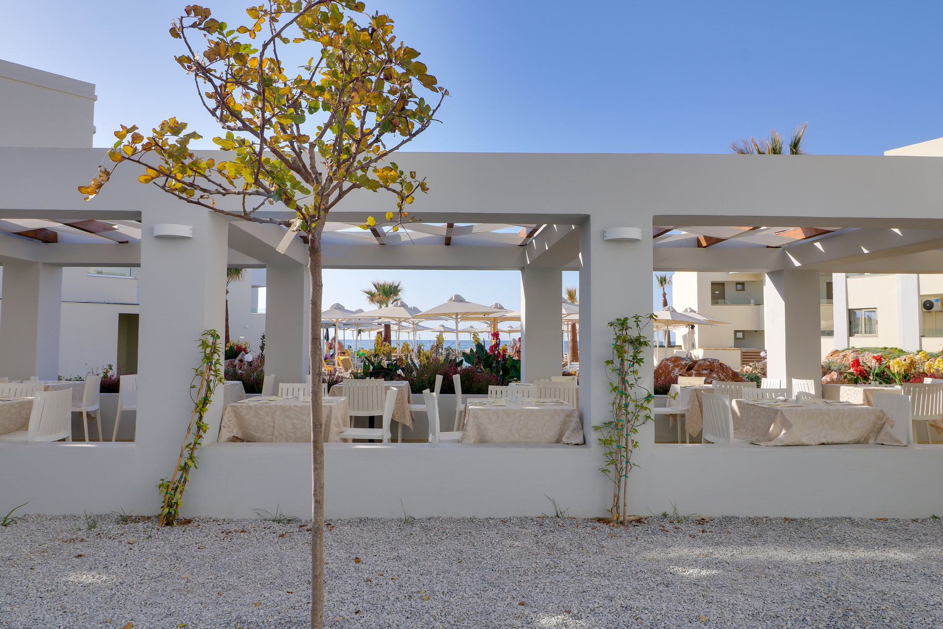 dal travel Harmony Rethymno Beach