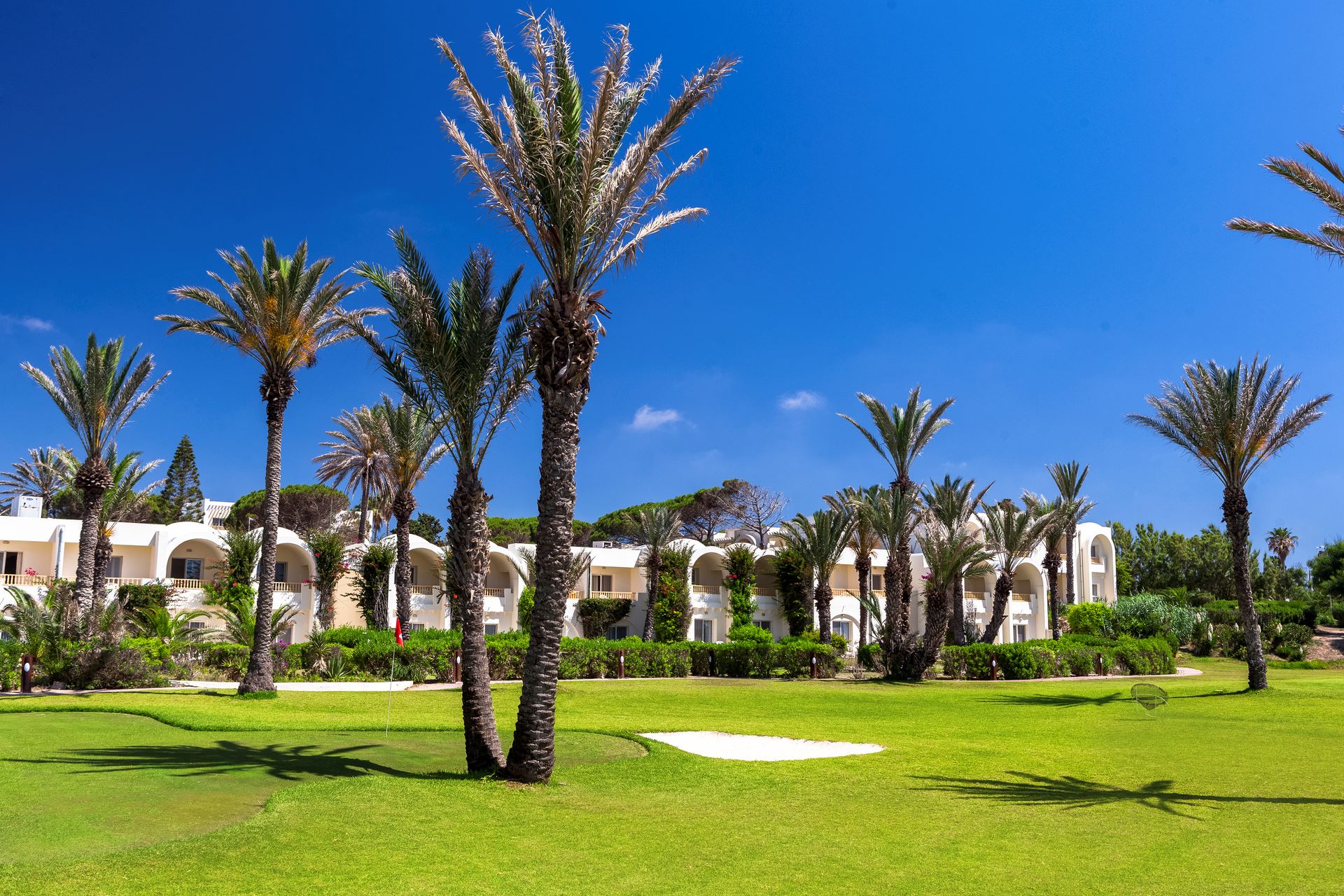 Calimera Delfino Beach Resort & Spa foto 5