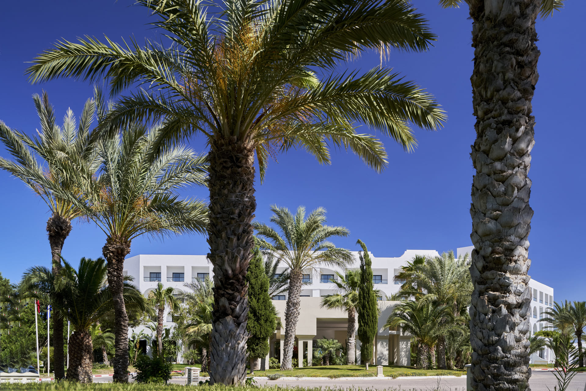 dal travel Nozha Beach Resort  Spa