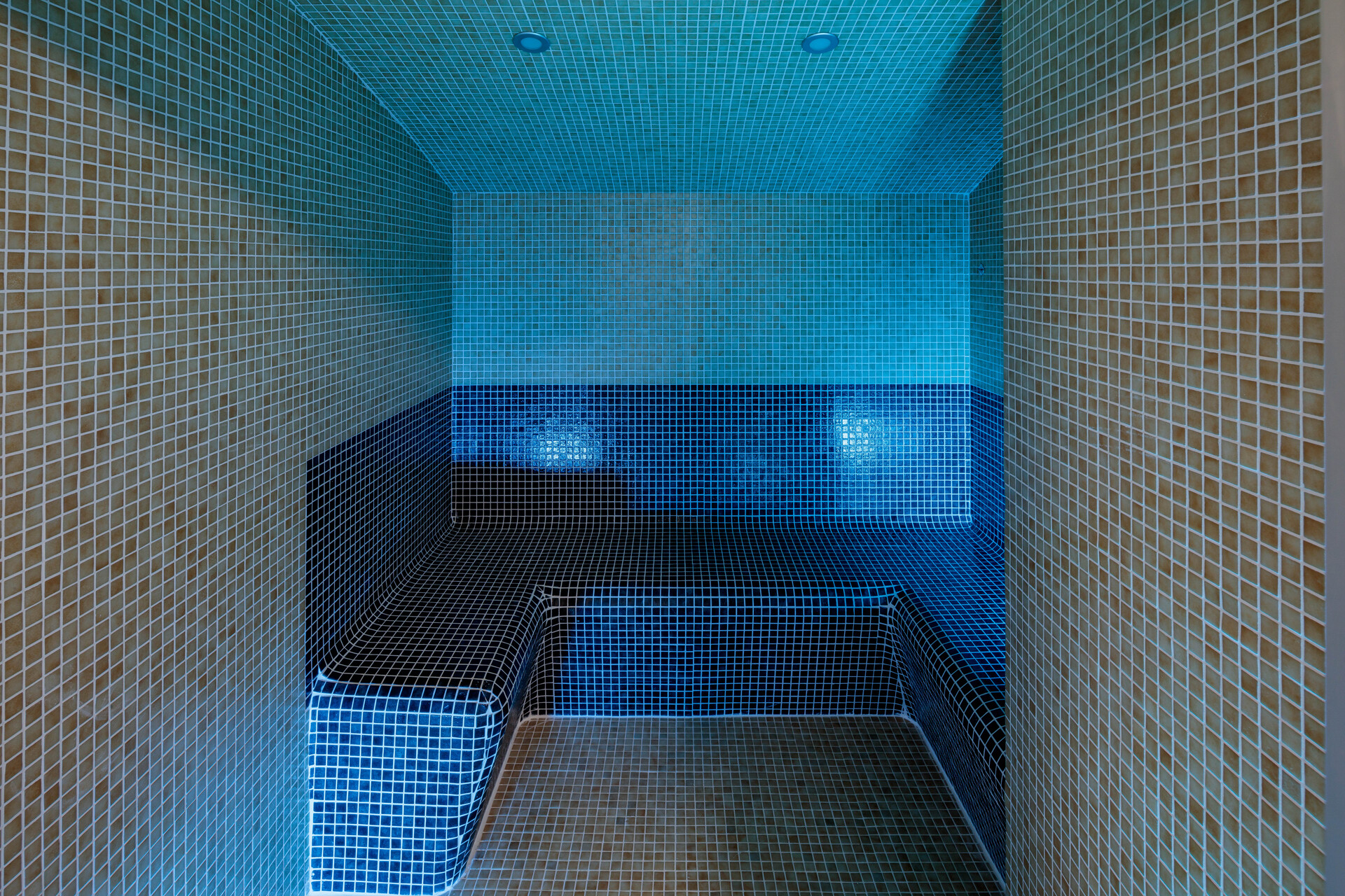 Garrigae Manoir de Beauvoir - Alojamientos en MIGNALOUX BEAUVOIR