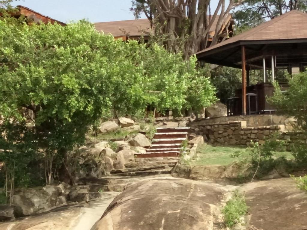 Lobo Wildlife Lodge