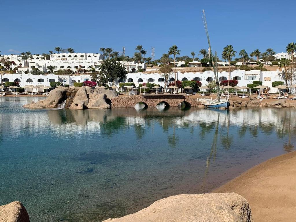 Domina Coral Bay Harem