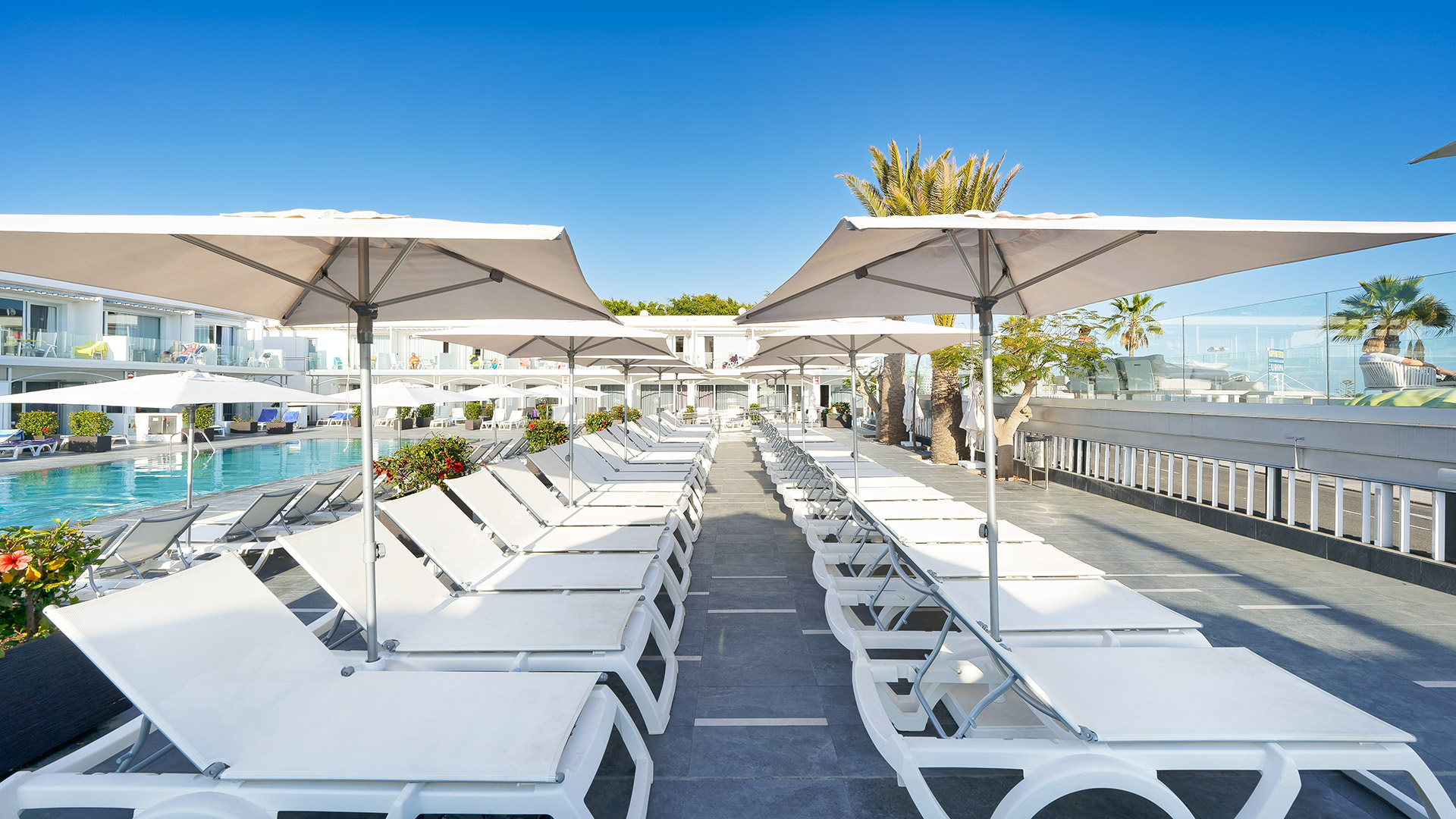 Apartamentos Lara - Alojamientos en GRAN CANARIA - MOGAN / P RICO