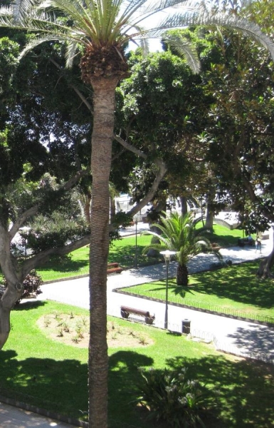 Sercotel Hotel Parque