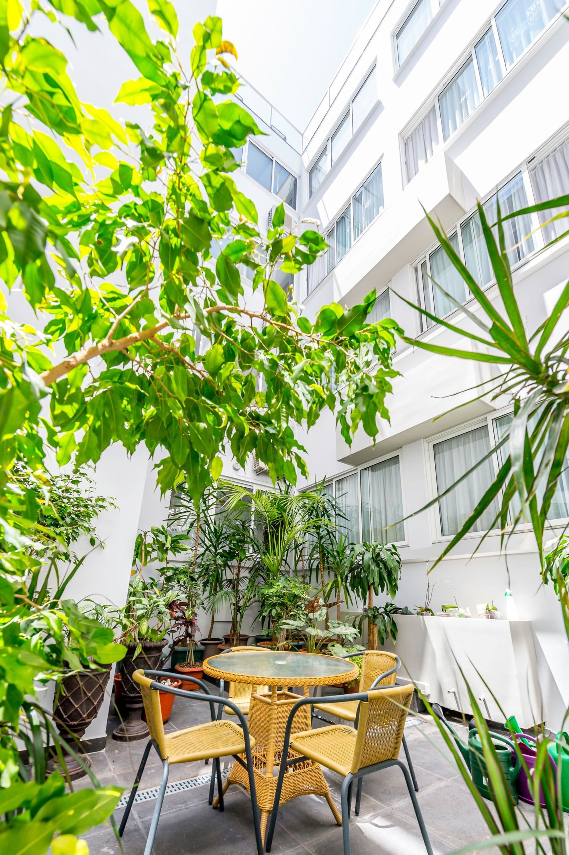 Hotel Hotel Madeira, Portugal, Funchal. Großes 35