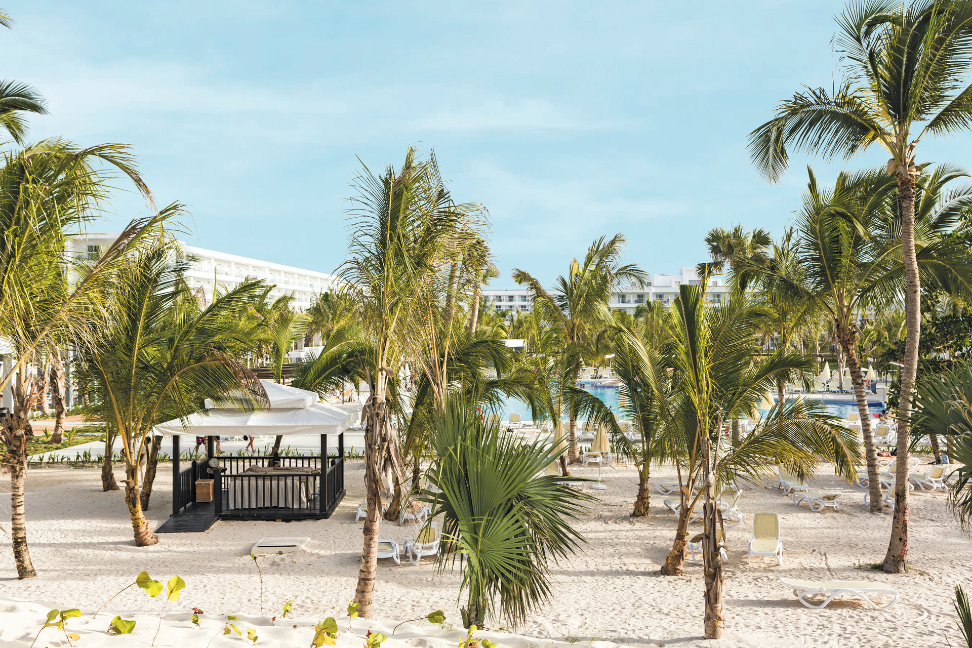 Hotel RIU REPUBLICA - ADULTS ONLY - ALL INCLUSIVE, Dominikanische Republik, Punta Cana. Großes 35