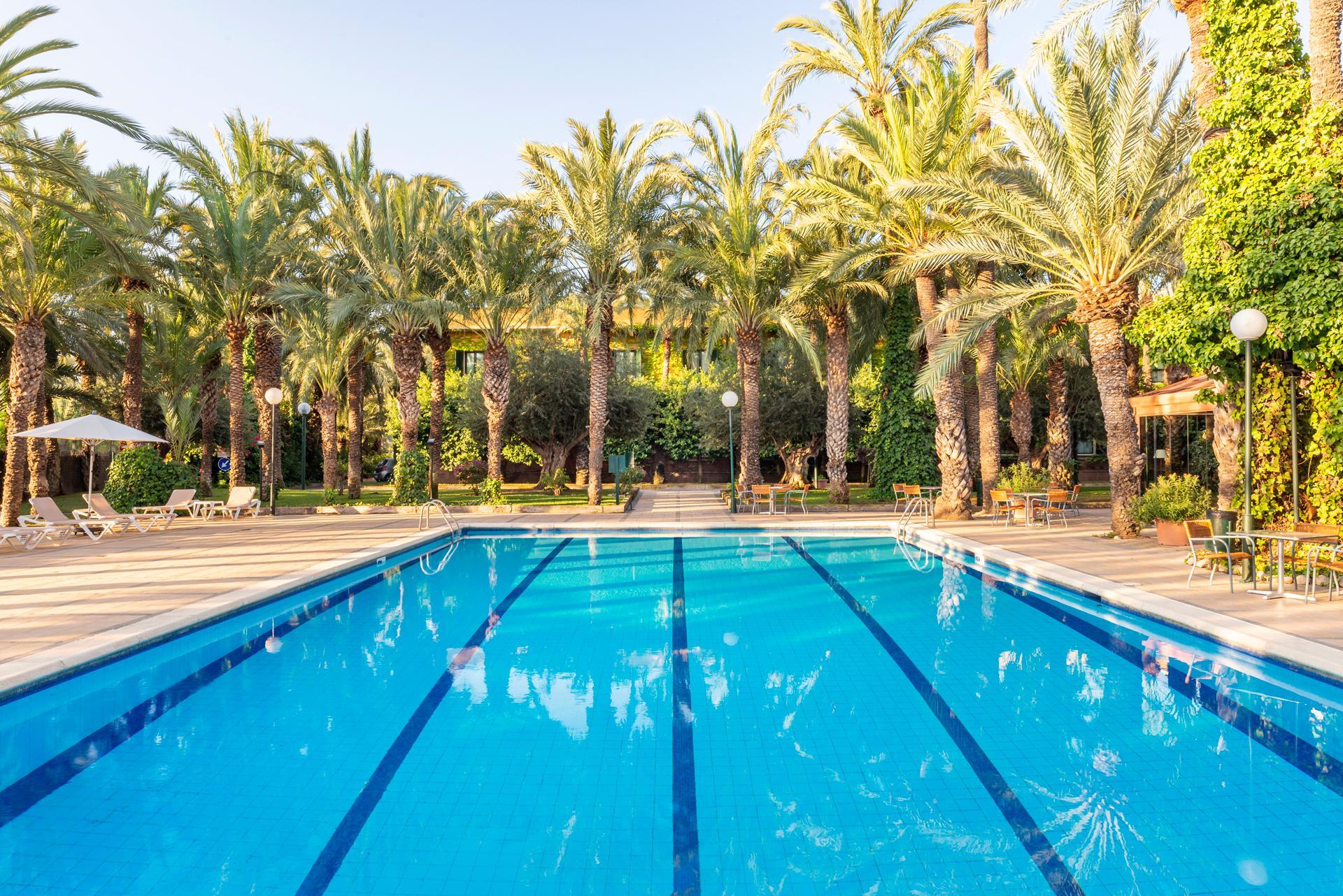 Hotel Hotel Jardin Milenio, Spanien, Elche. Großes 24