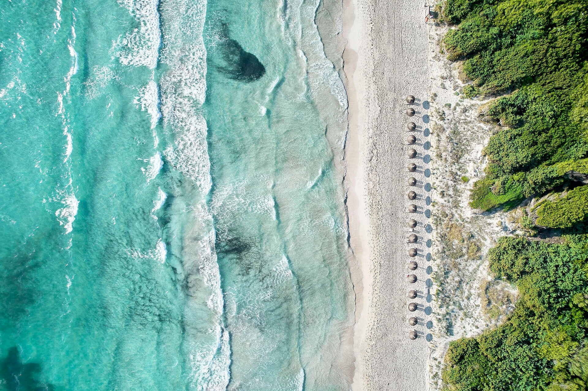 Hotel Iberostar Selection Albufera Park, Spanien, Playa de Muro. Großes 40