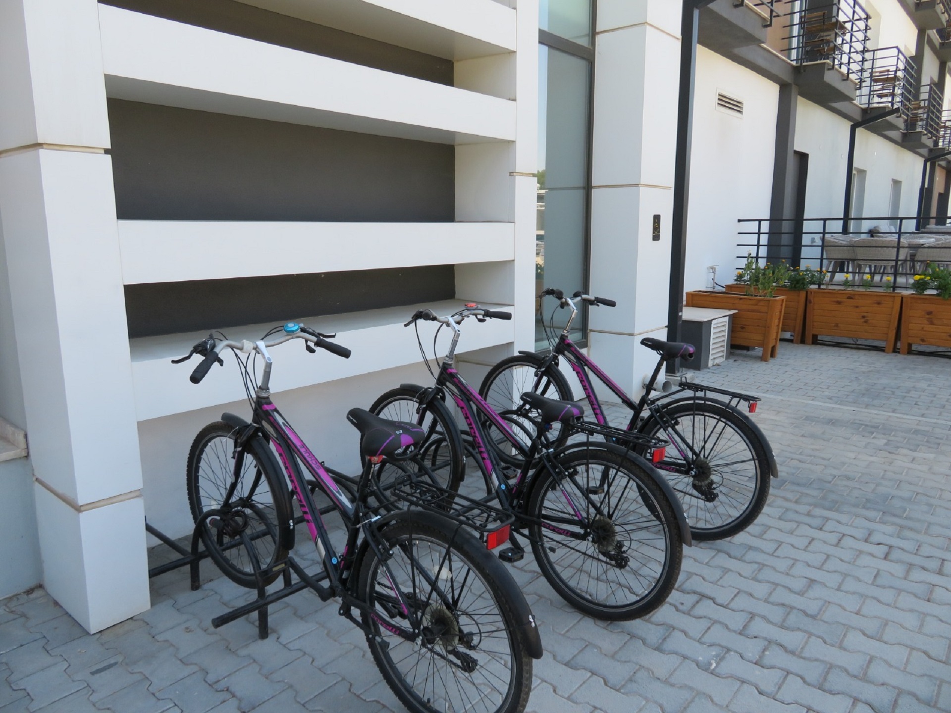 Hotel Hotel Sun, Zypern, Nord-Nikosia. Großes 11