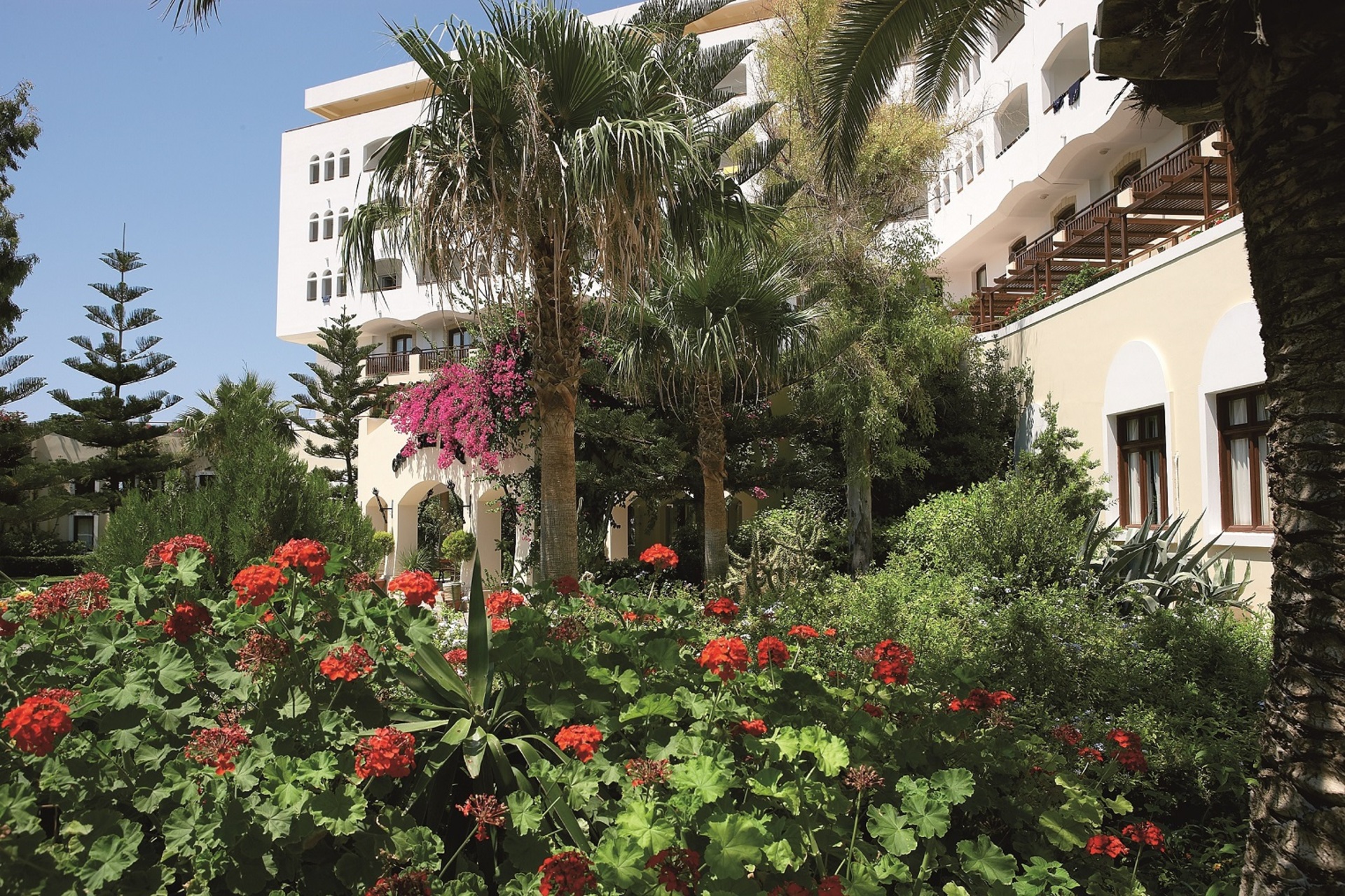 Hotel Creta Star, Griechenland, Skaleta. Großes 1