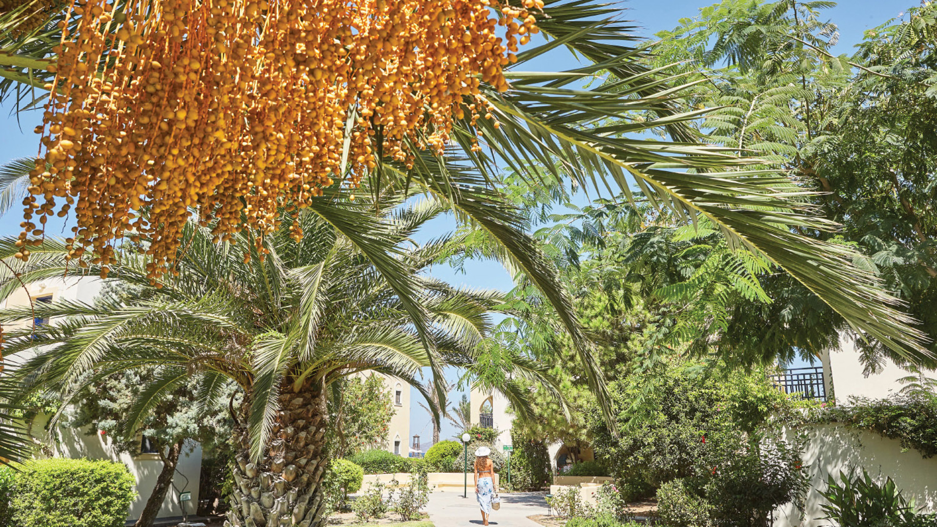 Hotel Grecotel Casa Paradiso, Griechenland, Marmari (Kos). Großes 1