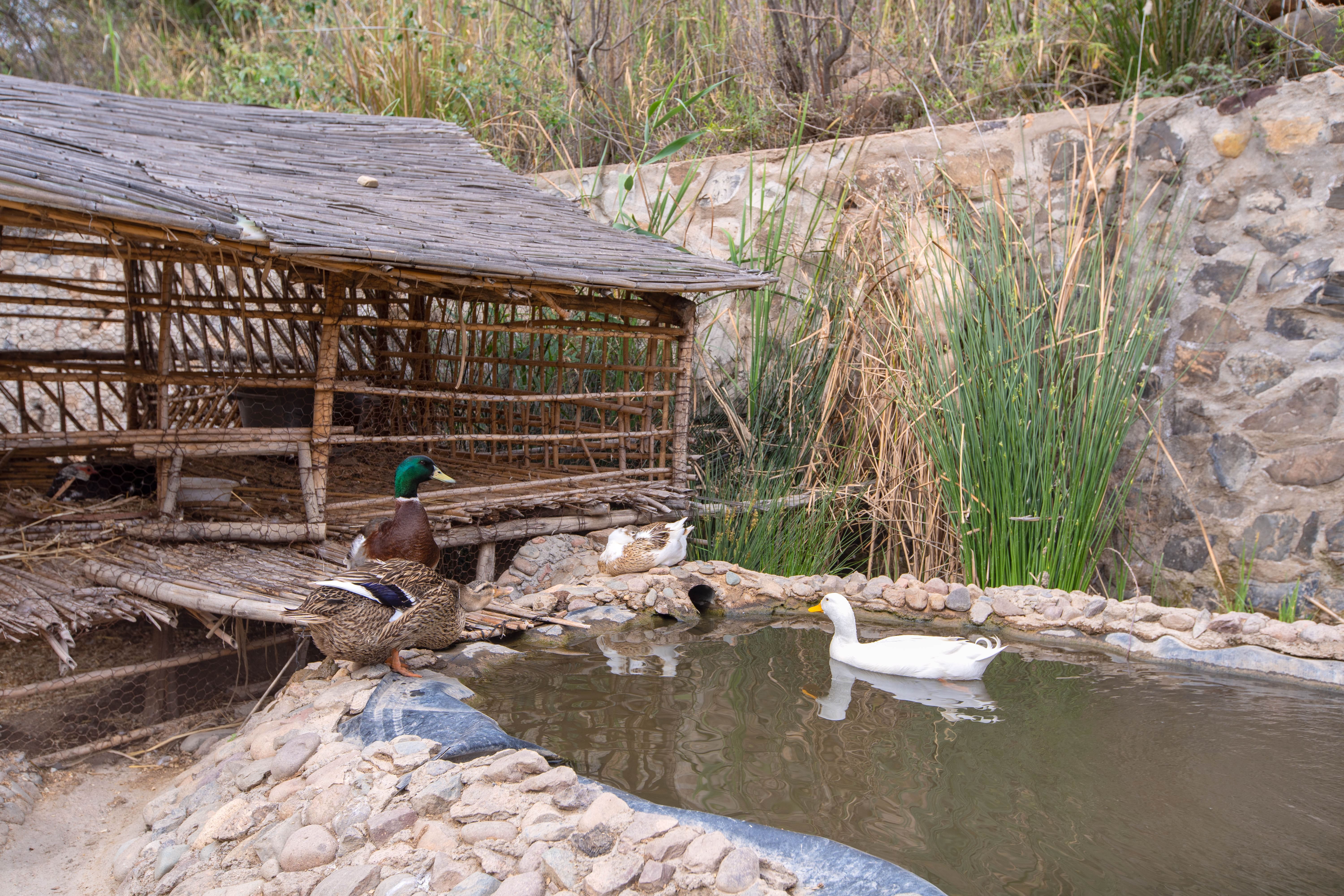 Hotel La Fattoria Ecolodge, Marokko, Lalla Takerkoust. Großes 31