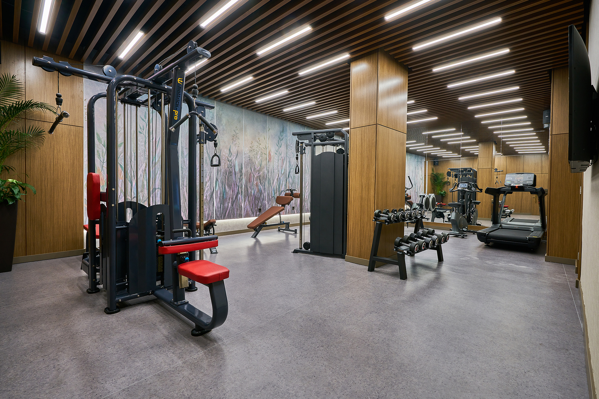 Hotel Rayelin Hotel Old City, Türkei, Istanbul. Großes 38