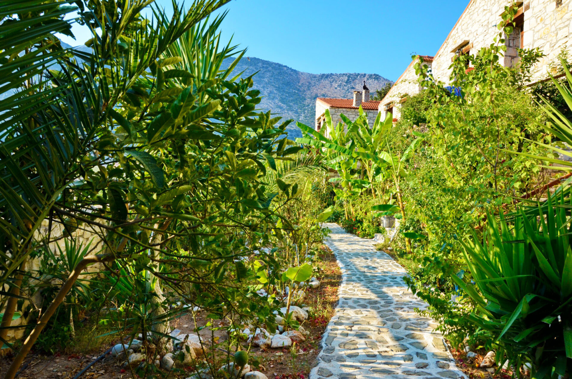 Hotel Stone Village, Griechenland, Bali. Großes 2
