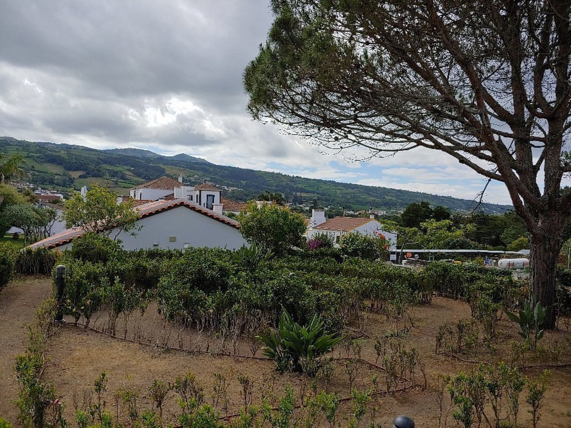 Hotel Solar do Conde Garden Hotel, Portugal, Capelas. Großes 2