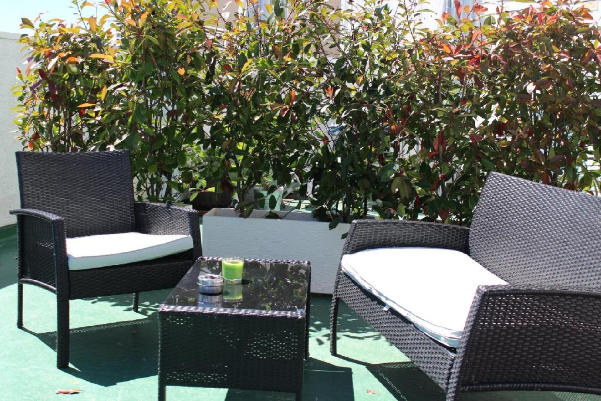 Hotel AS Camelias