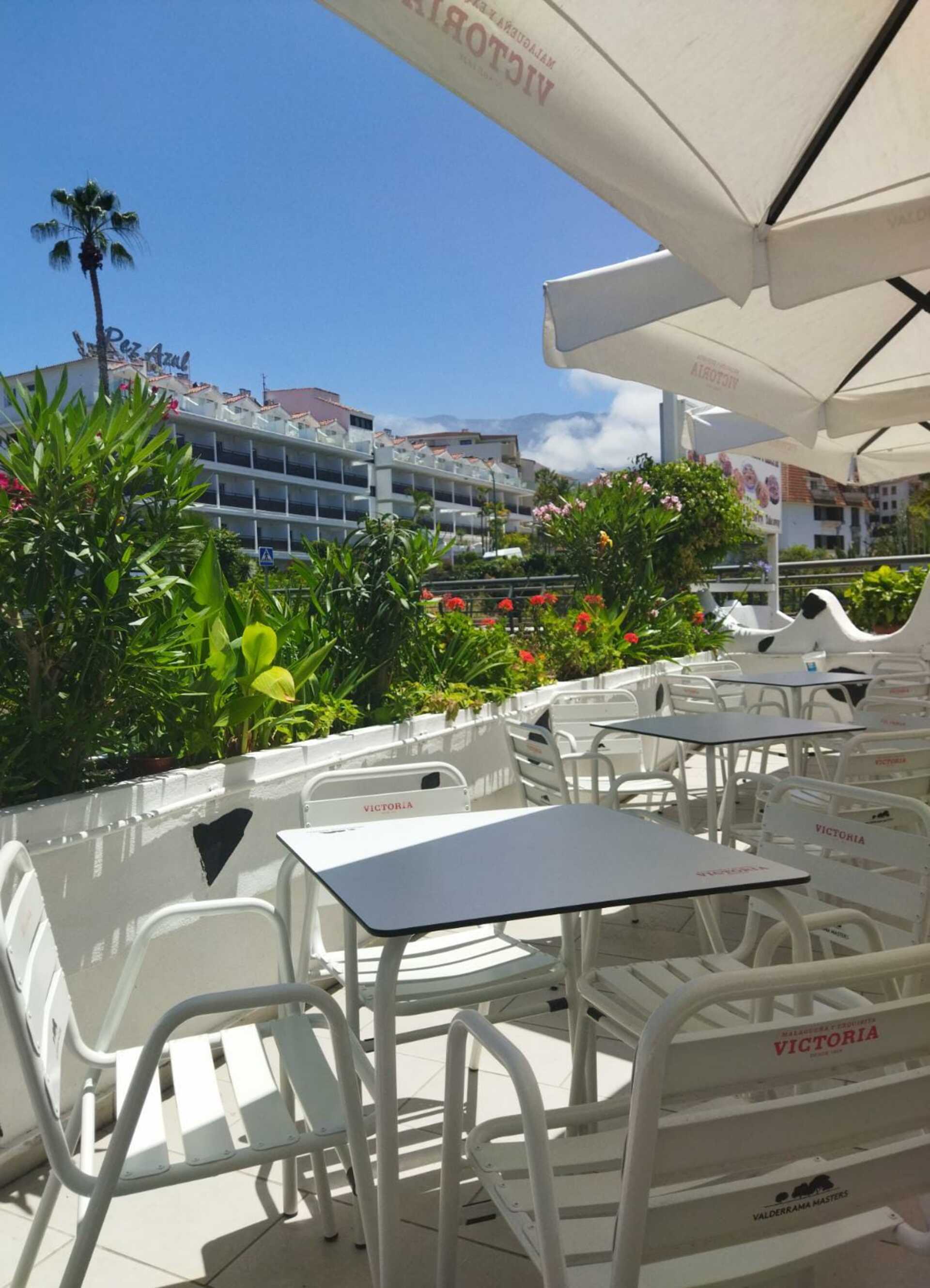 Hotel Chinyero, Spanien, Puerto de la Cruz. Großes 10